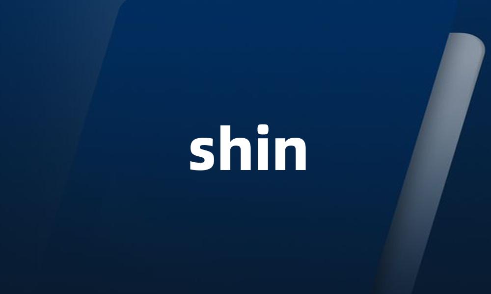 shin