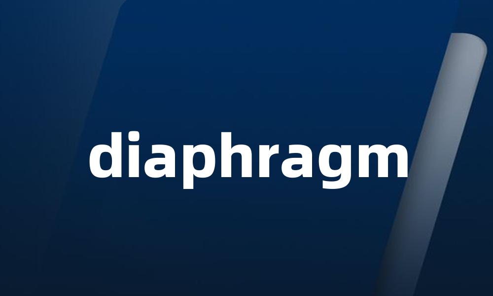 diaphragm