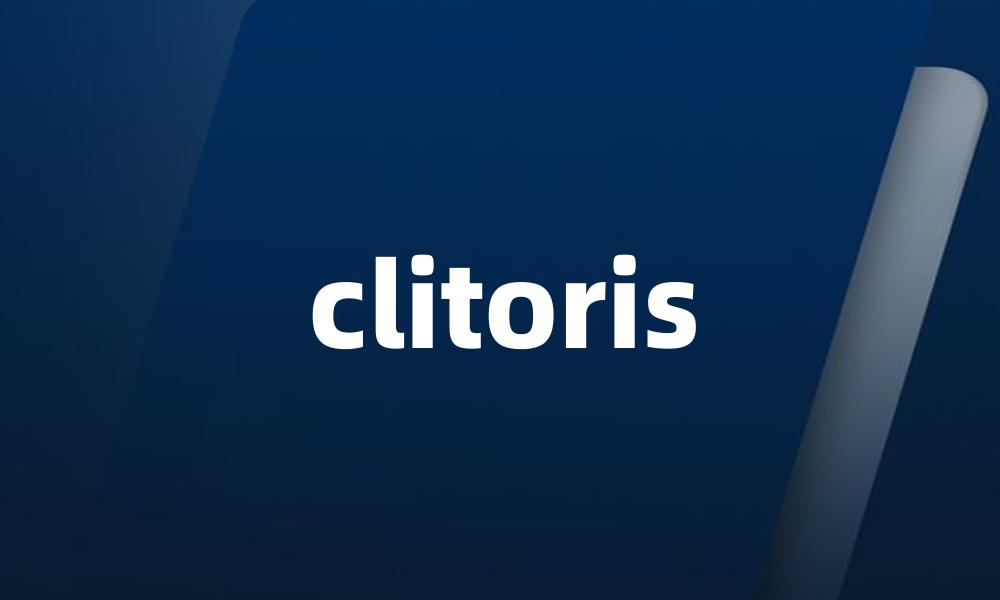 clitoris