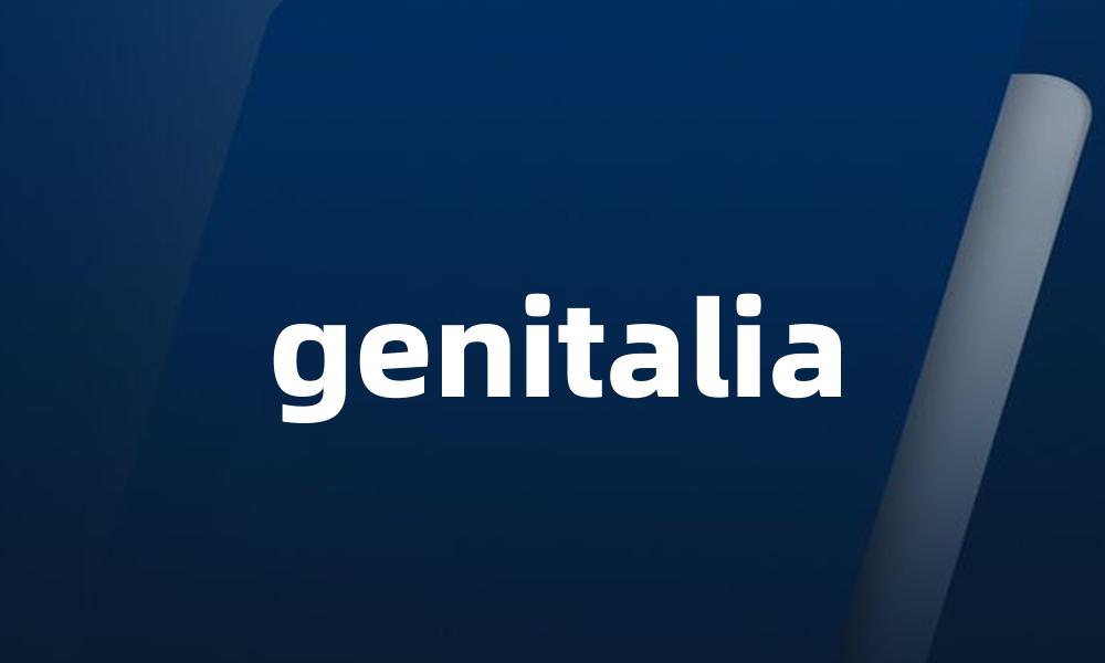 genitalia