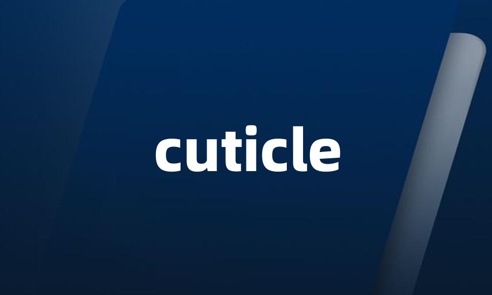 cuticle