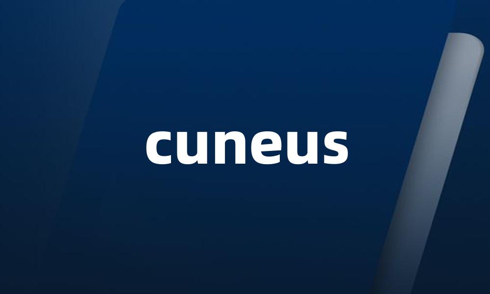 cuneus