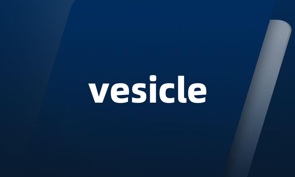 vesicle