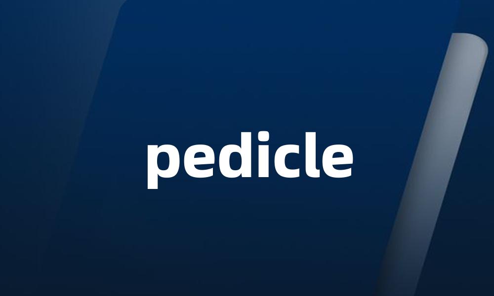 pedicle