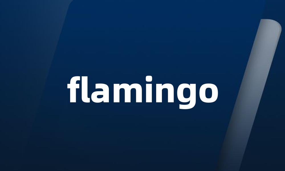 flamingo