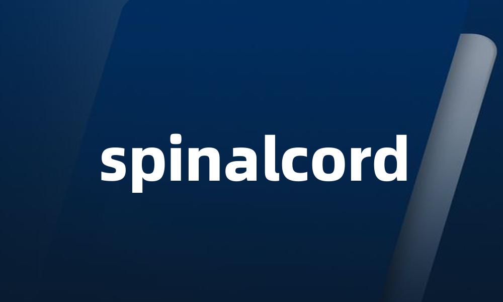 spinalcord