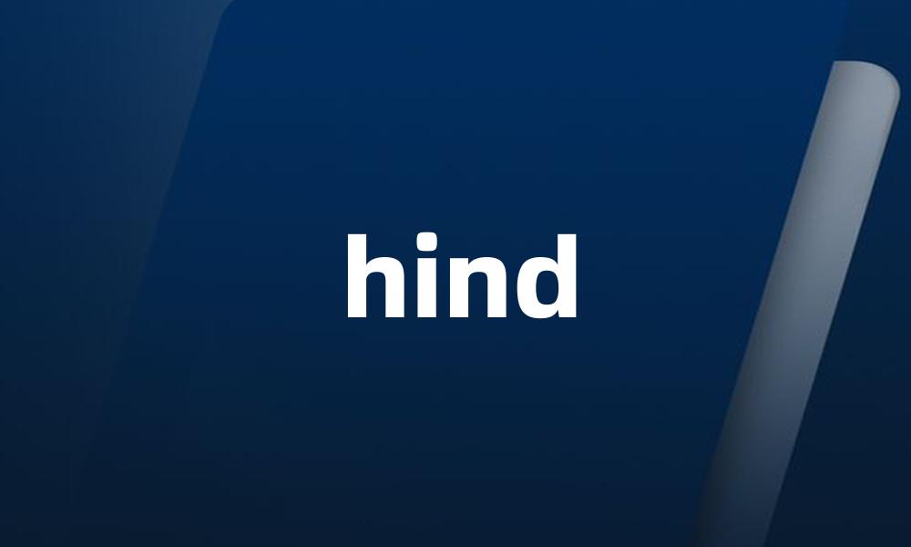 hind