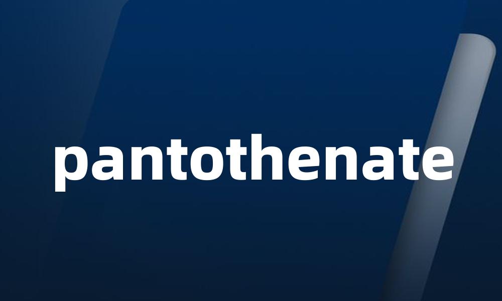 pantothenate