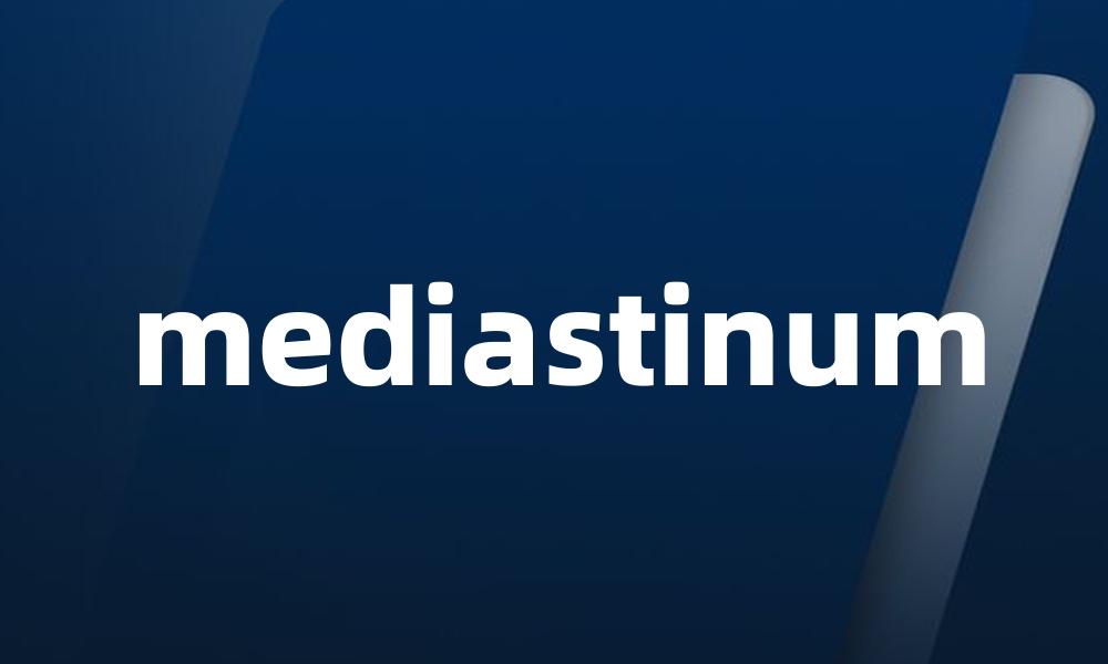 mediastinum