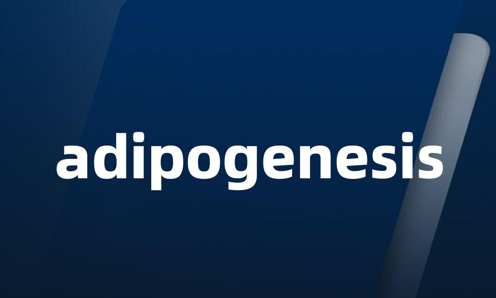 adipogenesis