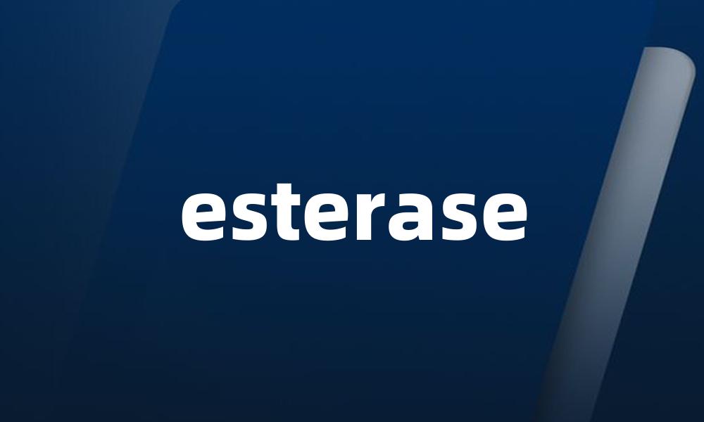 esterase