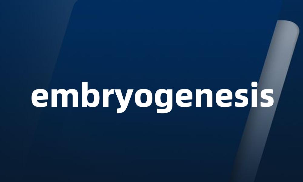 embryogenesis