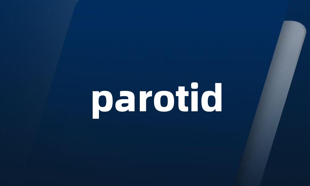 parotid