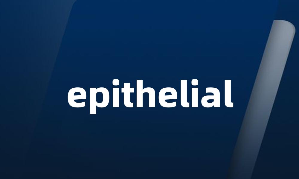 epithelial