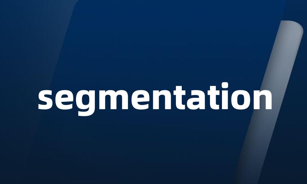 segmentation