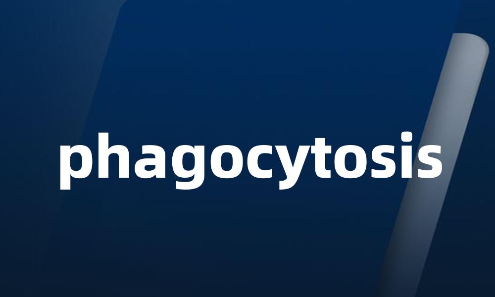 phagocytosis