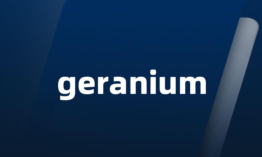 geranium