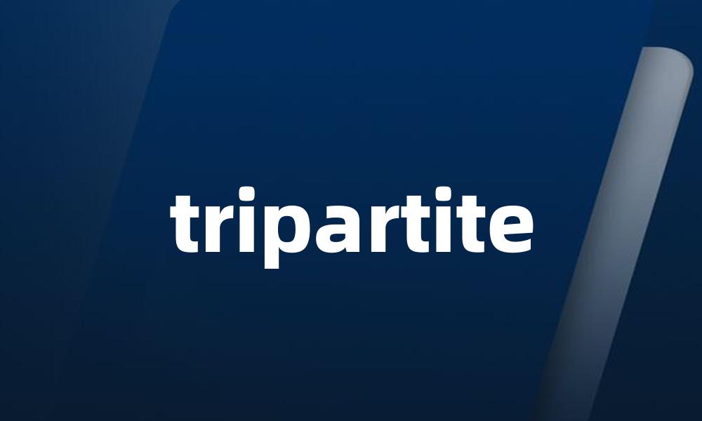 tripartite