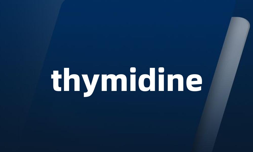 thymidine