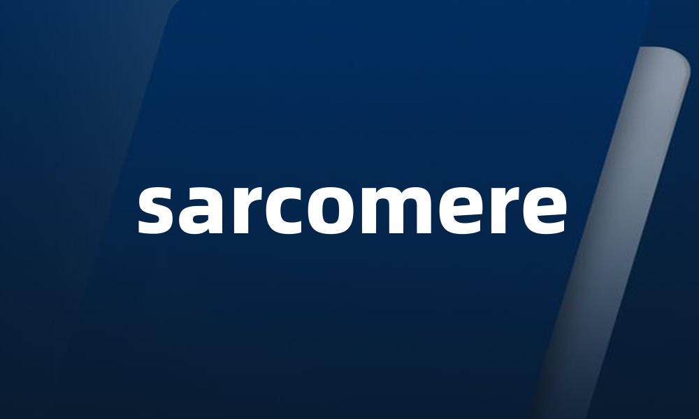 sarcomere