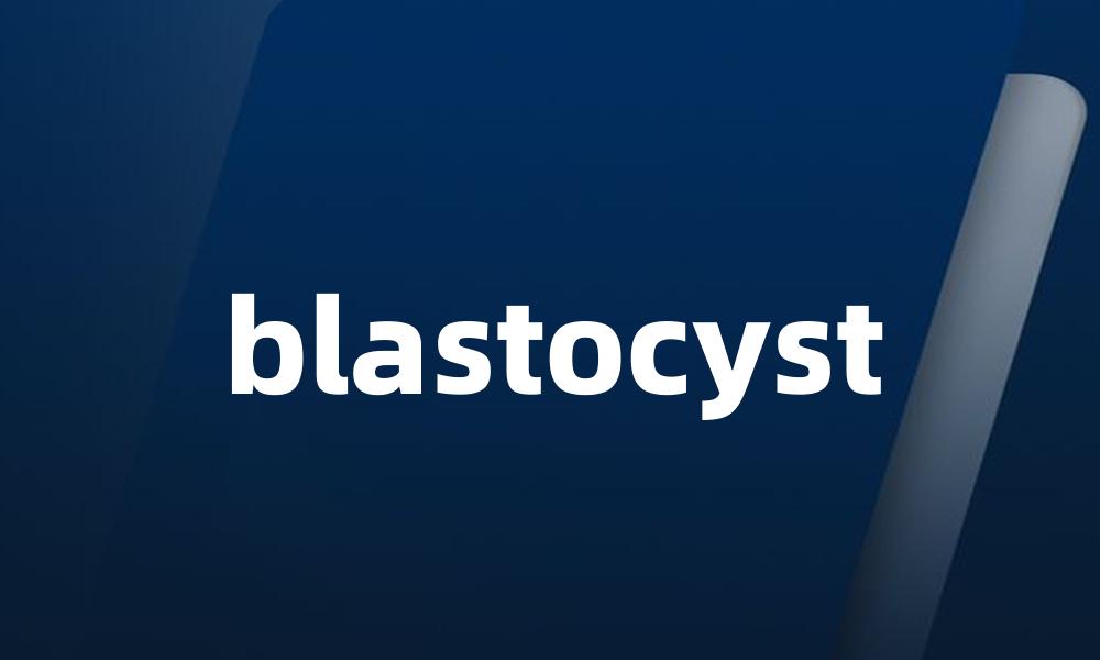 blastocyst