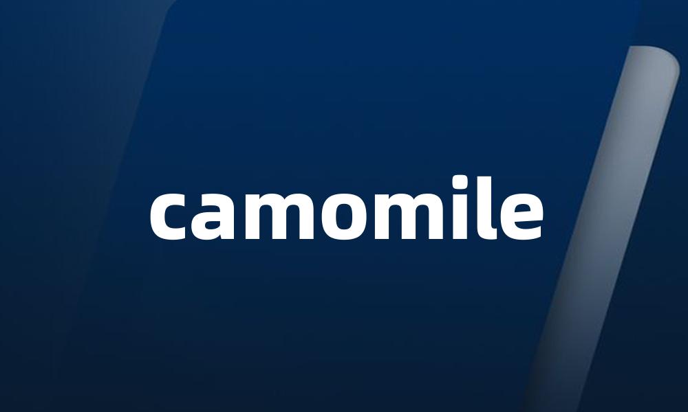 camomile