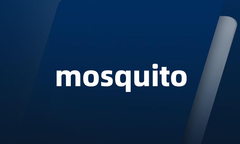 mosquito