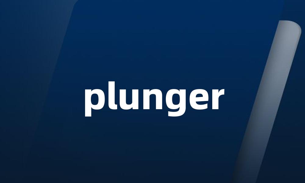 plunger