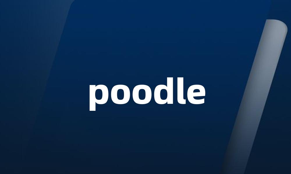 poodle