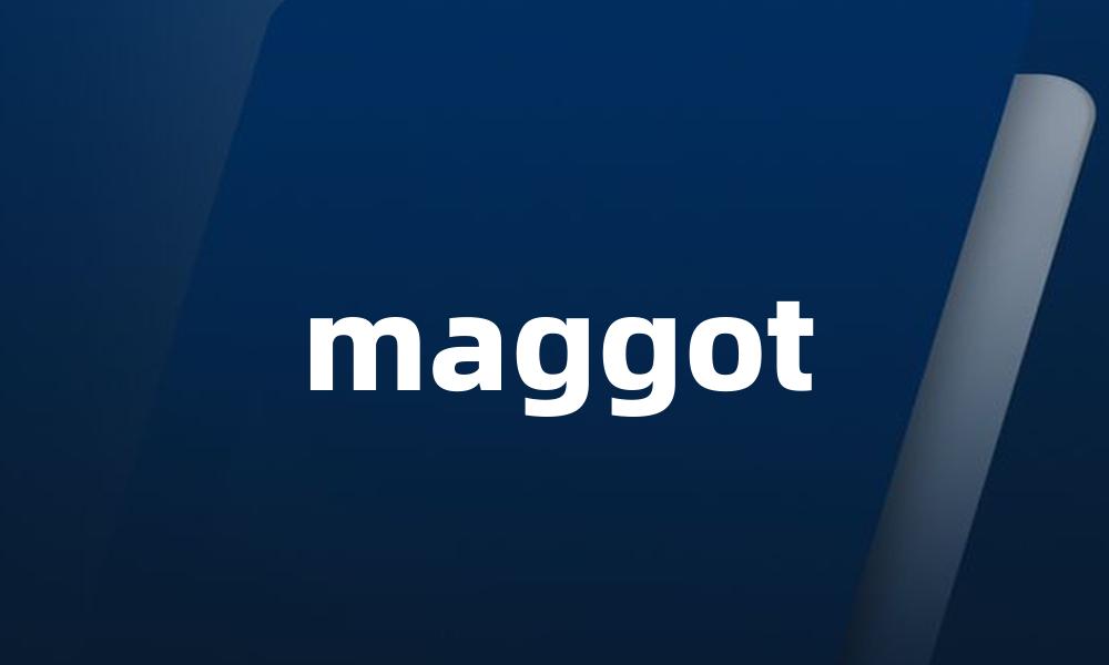 maggot