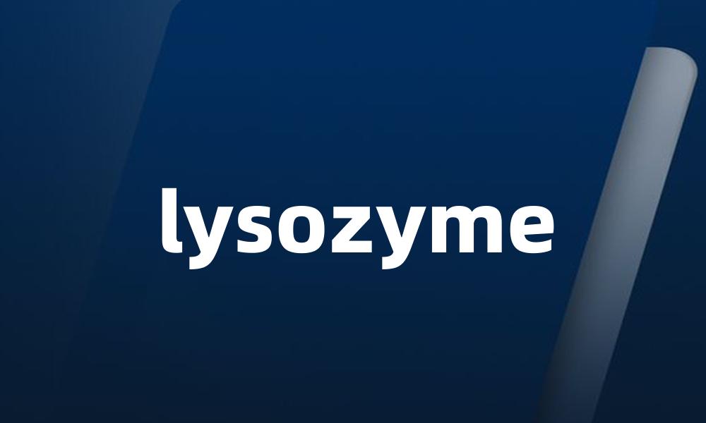 lysozyme