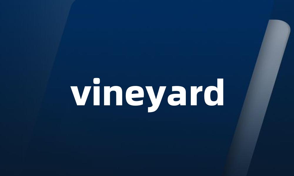 vineyard