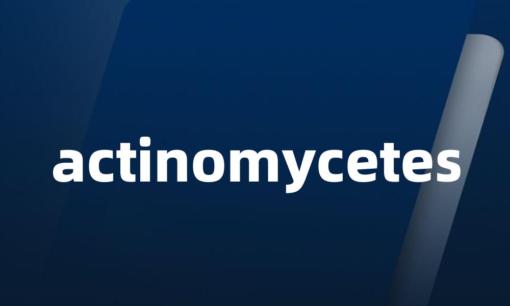 actinomycetes