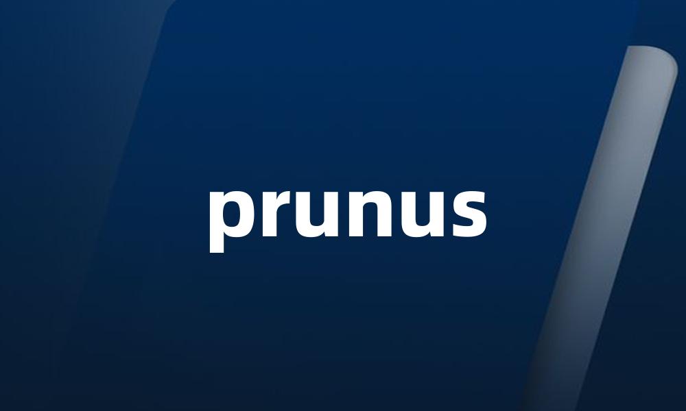 prunus