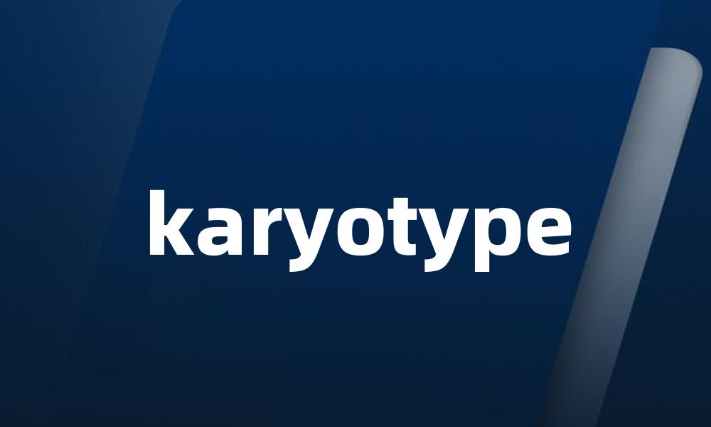 karyotype