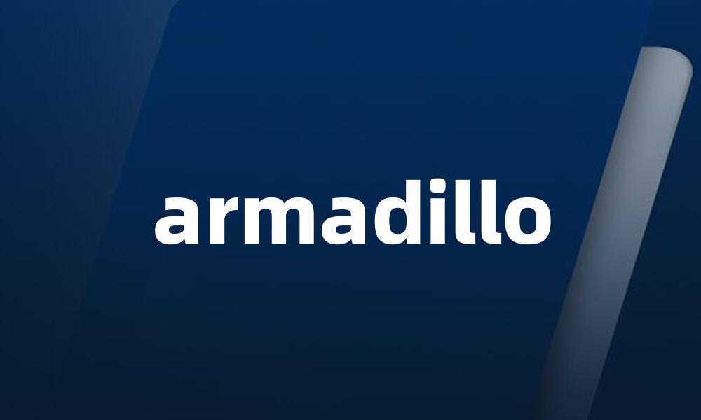 armadillo