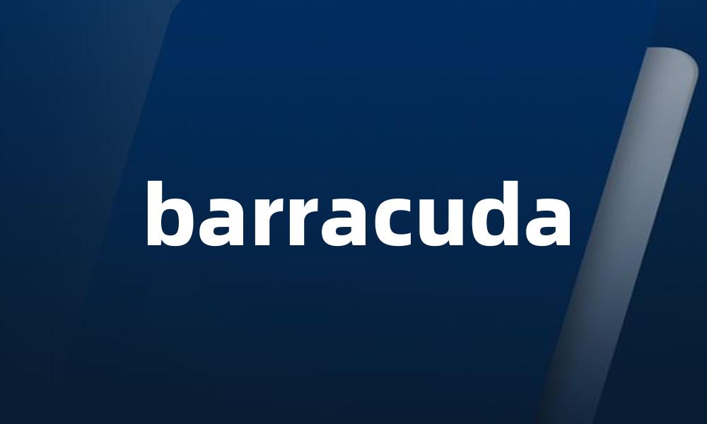 barracuda