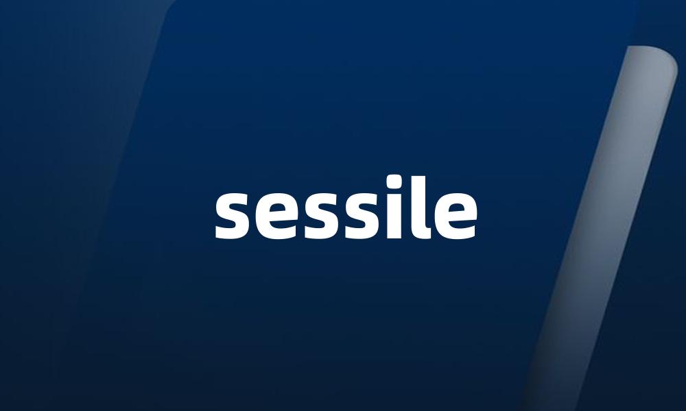 sessile