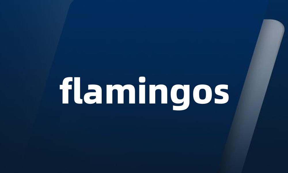 flamingos