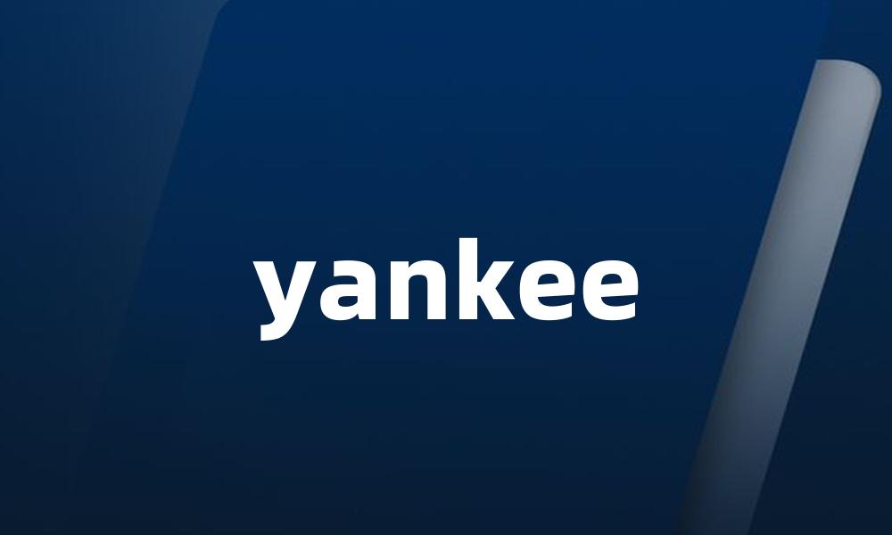 yankee