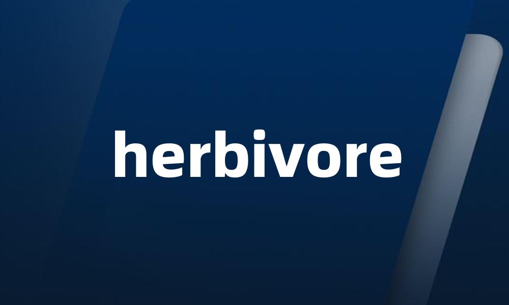 herbivore