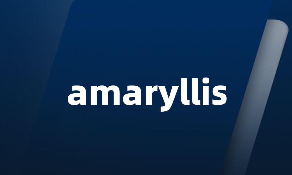 amaryllis