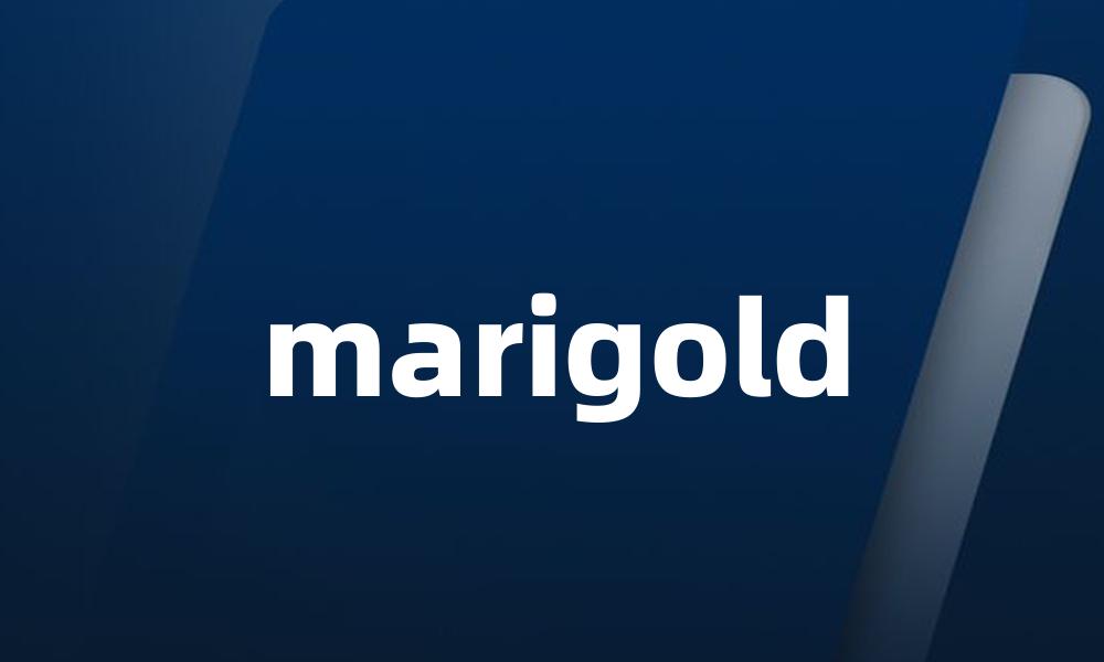 marigold