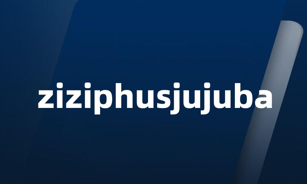 ziziphusjujuba