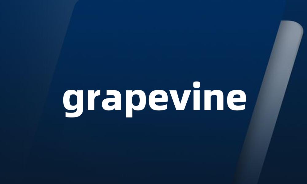 grapevine