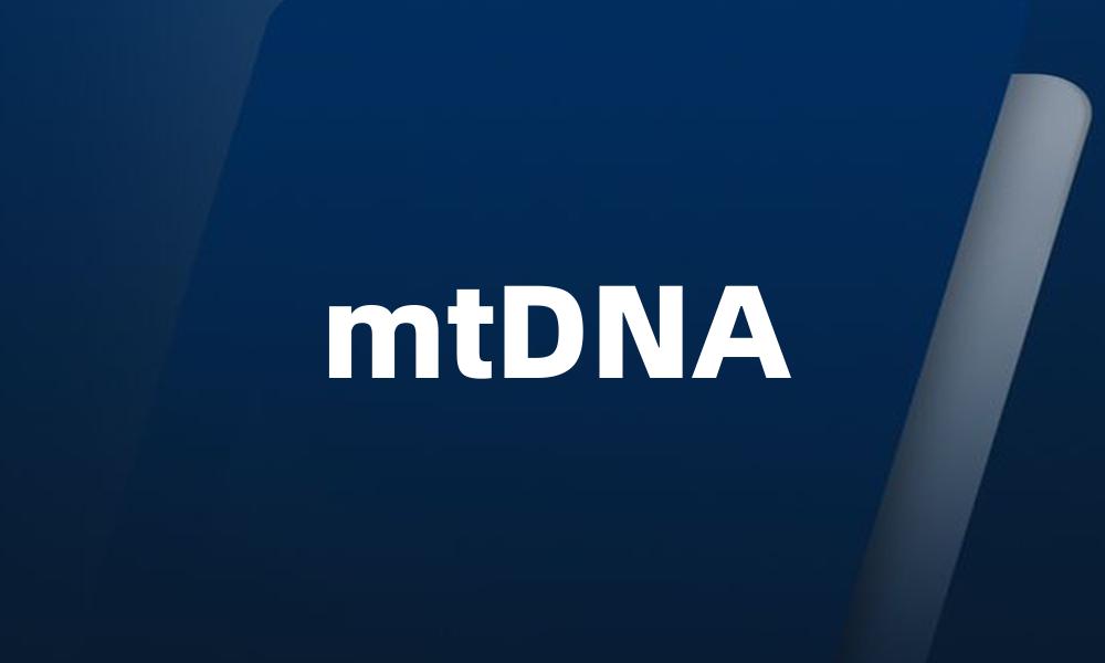 mtDNA