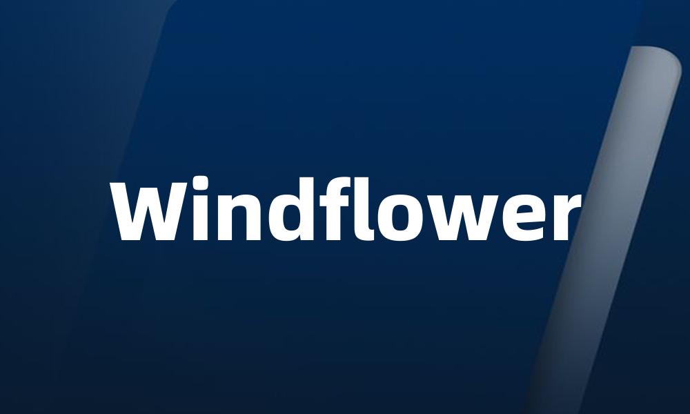 Windflower