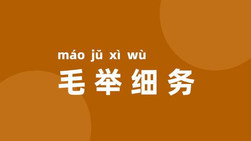 毛举细务