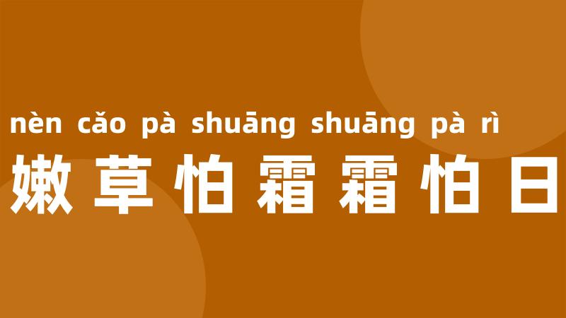 嫩草怕霜霜怕日