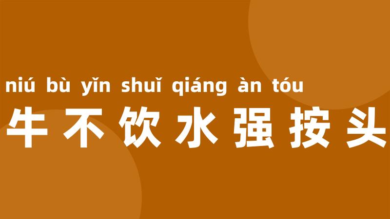 牛不饮水强按头